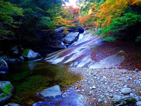 島国日本の自然を堪能するなら、海を望める「国立公園」へ