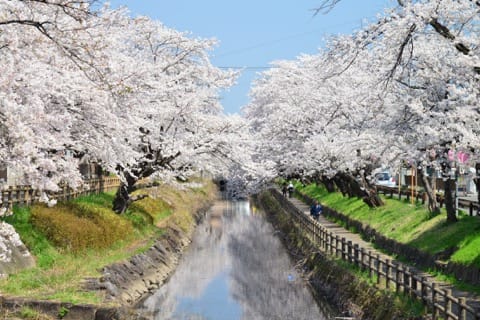 【栃木】どの季節も楽しめる!写真好きには見逃せない絶景5スポット