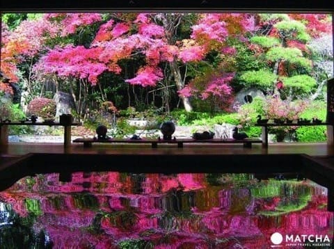 九州 賞楓