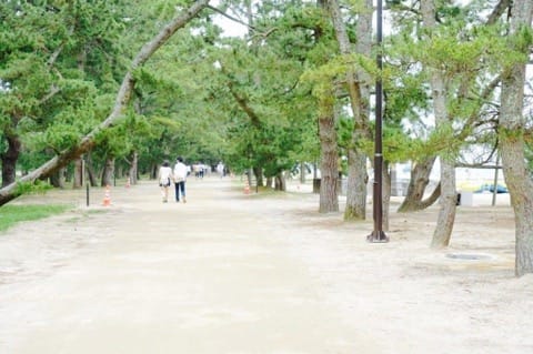 海の京都