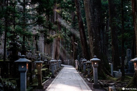 和歌山のゲストハウスでゆっくり過ごして旅の疲れを取ろう