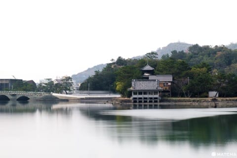 和歌山のゲストハウスでゆっくり過ごして旅の疲れを取ろう