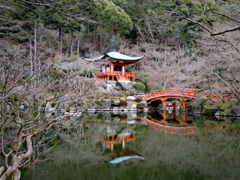 京都の桜を満吃!お花见のベストスポット15と楽しむためのヒント