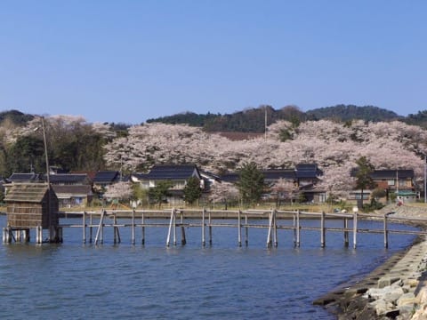 鳥取県の周遊に便利!湖の絶景が楽しめる倉吉近くの「はわい温泉 」