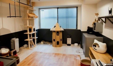 Explore Ikebukuro, Tokyo - 7 Things To Enjoy, From Ramen To Anime