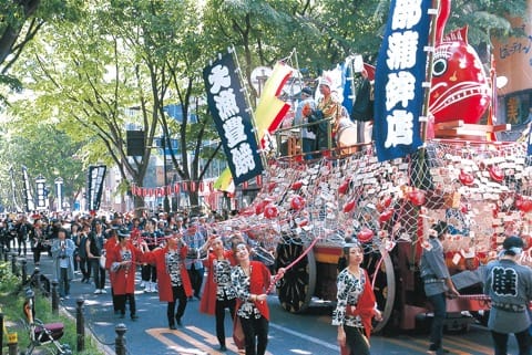 aoba festival