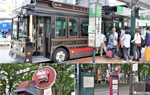 loople sendai