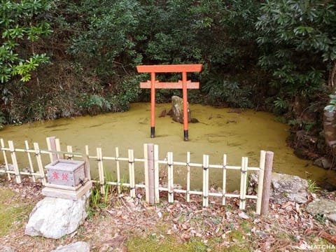 【三重 志摩】神祇多到記不得的磯部神社
