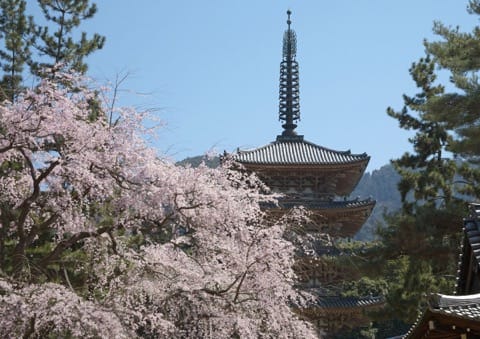 醍醐寺