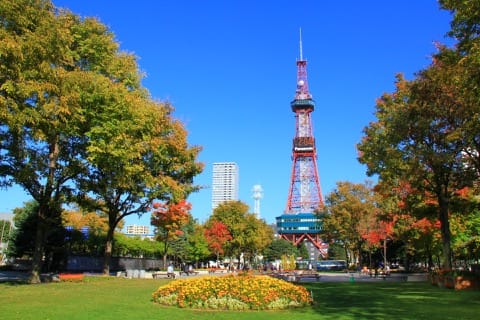 Hokkaido Travel Guide: Points Of Interest, Weather, Events, And More!