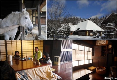 【東北】歷男歷女 V.S 文學派!伊達政宗、太宰治、河童,這個冬天你選哪一邊?