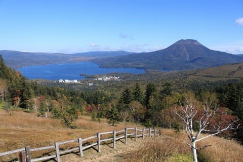 冬の阿寒湖に惚れ惚れ!絶景、温泉、そしてアイヌ文化で北海道の雄大な自然を体感
