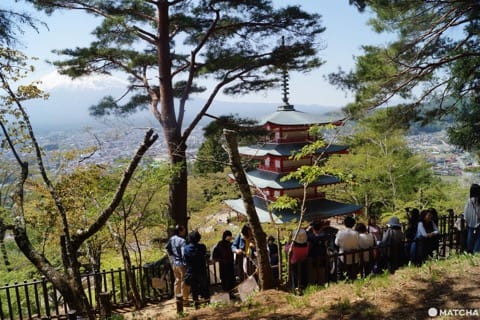2週間だけの絶景を見に行こう!富士山と桜、山梨グルメが楽しめる「新倉山浅間公園桜まつり」