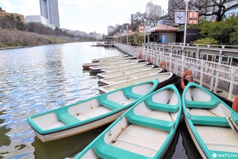 ボートに揺られながら優雅にお茶しよう!東京・神楽坂の「カナルカフェ」