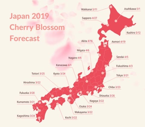 Japan's Cherry Blossoms In 2019 - Forecast And Best Spots!