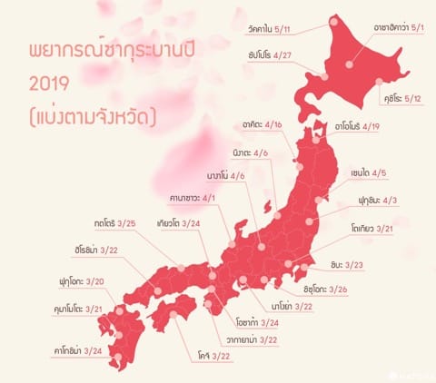 ซากุระ จุดชมซากุระบานทั่วญี่ปุ่น