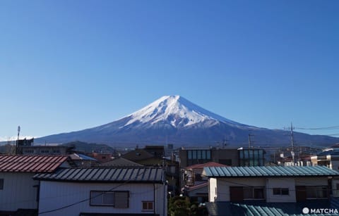 2週間だけの絶景を見に行こう!富士山と桜、山梨グルメが楽しめる「新倉山浅間公園桜まつり」