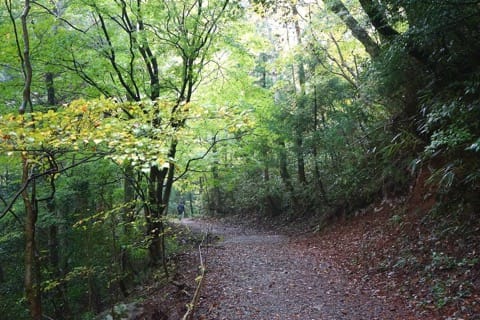 箱根