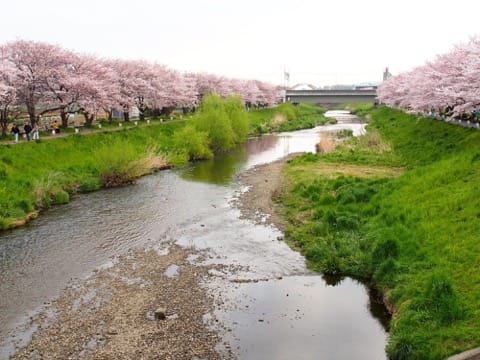埼玉朝霞台黑目川