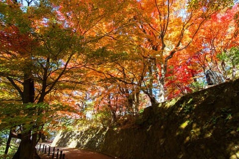 「高山」徹底ガイド。高山でしたいこと15選・アクセスなどまとめ