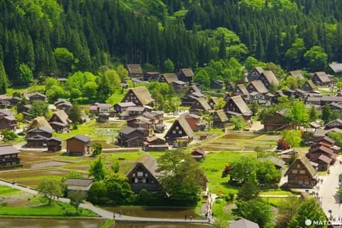 2025】日本の原風景を見に行こう！白川郷合掌造り集落完全ガイド