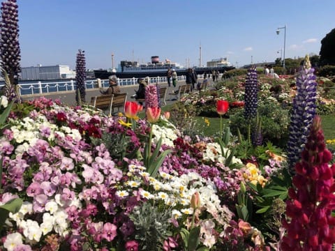ซากุระหมดไม่ต้องเสียใจ! โยโกฮาม่ามีดอกไม้ให้ชมถึงมิถุนายนในงาน Garden Necklace Yokohama 2019