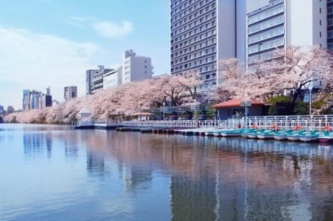 ボートに揺られながら優雅にお茶しよう!東京・神楽坂の「CANAL CAFE」