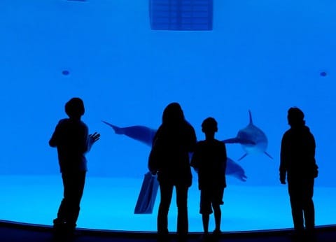 名古屋港水族館