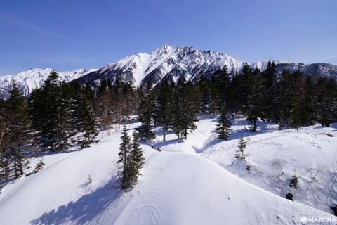 ชินโฮทากะโรปเวย์ (Shinhotaka Ropeway)