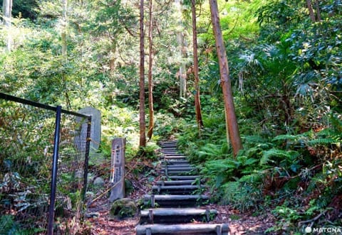Kamakura Day Trip - Zen Meditation, Shrines, And Hiking