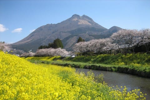 由布院