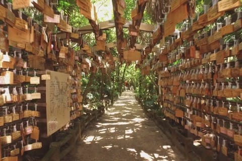 宮崎