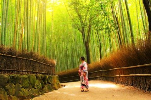 Arashiyama Bamboo Grove