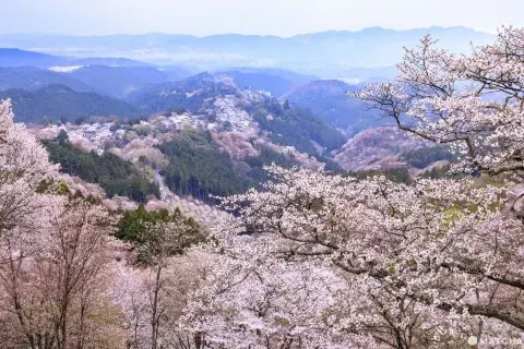 奈良の吉野山にたたずむ世界遺産「金峯山寺」で日本の信仰に触れよう