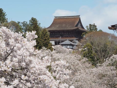 奈良の吉野山にたたずむ世界遺産「金峯山寺」で日本の信仰に触れよう