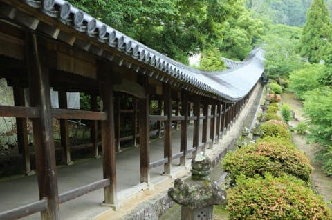 台湾からの直通便も運行! 絶景や美食を満喫できる岡山の見どころ&モデルルートを紹介