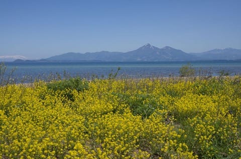 福島