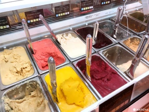 Premarche Gelateria