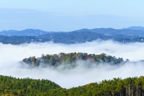 台湾からの直通便も運行! 絶景や美食を満喫できる岡山の見どころ&モデルルートを紹介