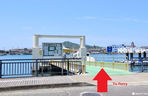 【香川】別世界へダイブ!神秘の大楠とアート・海ホタルを巡る志々島・粟島の1日旅