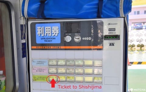 【香川】別世界へダイブ!神秘の大楠とアート・海ホタルを巡る志々島・粟島の1日旅