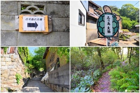 【香川】別世界へダイブ!神秘の大楠とアート・海ホタルを巡る志々島・粟島の1日旅
