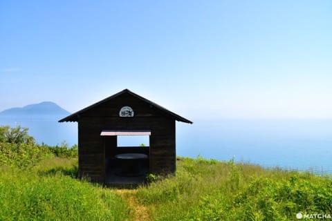 【香川】別世界へダイブ!神秘の大楠とアート・海ホタルを巡る志々島・粟島の1日旅