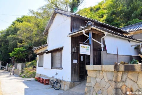 【香川】別世界へダイブ!神秘の大楠とアート・海ホタルを巡る志々島・粟島の1日旅