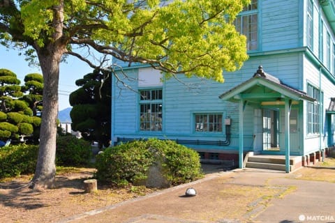 【香川】別世界へダイブ!神秘の大楠とアート・海ホタルを巡る志々島・粟島の1日旅