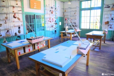 【香川】別世界へダイブ!神秘の大楠とアート・海ホタルを巡る志々島・粟島の1日旅