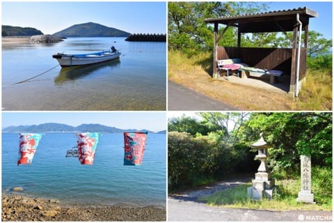 【香川】神秘の離島へ!大楠とウミホタル、アートを巡る志々島・粟島の1日旅