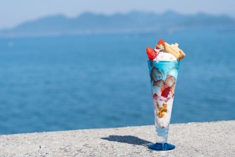 【香川】神秘の離島へ!大楠とウミホタル、アートを巡る志々島・粟島の1日旅