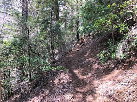 Hiking into History on Koyasan