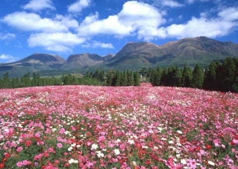 Beppu And Yufuin: 15 Must-Visit Spots And Must-Eat Foods In Oita